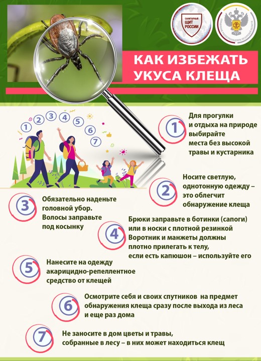 Как уберечься от клещей